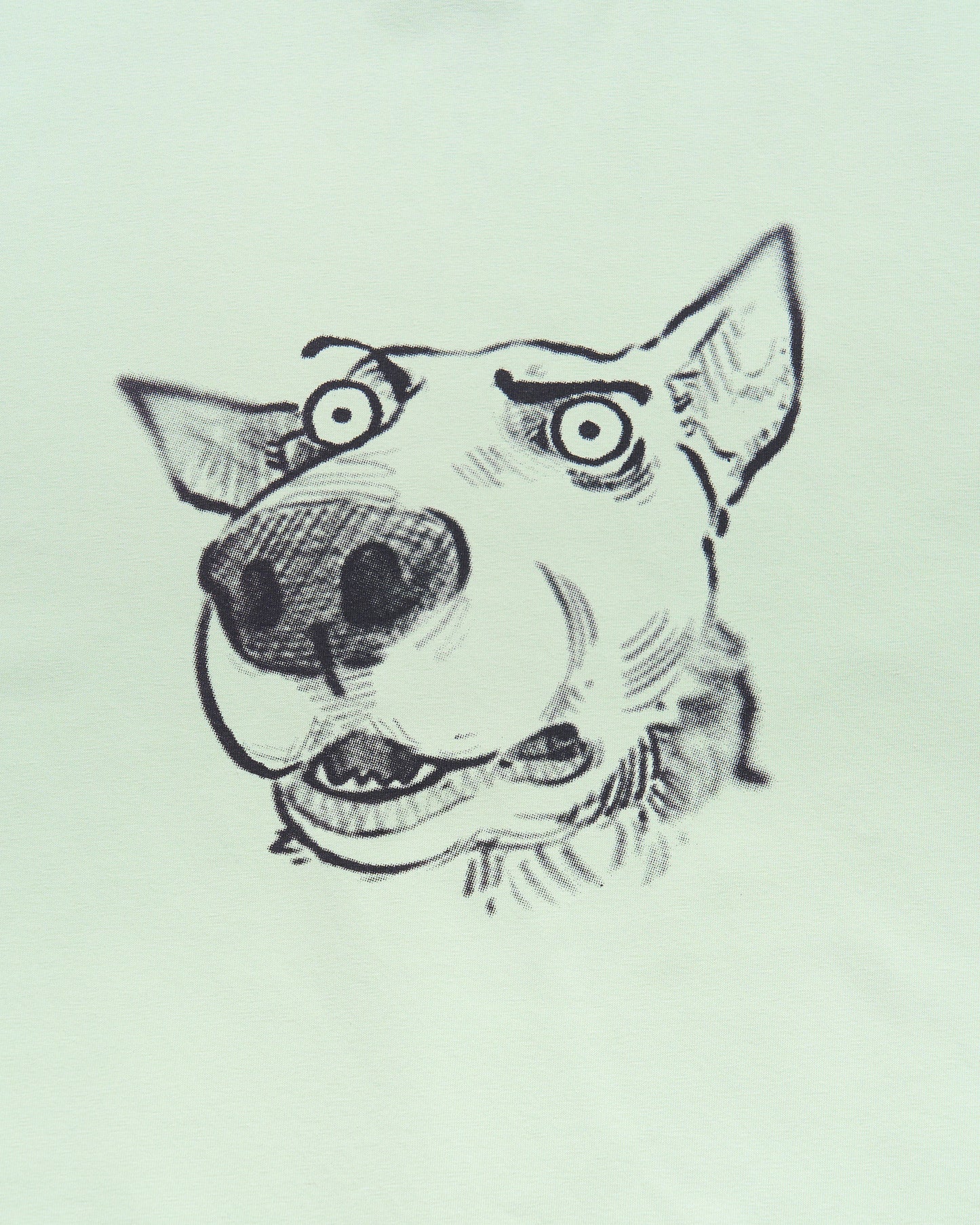 Confused Doggy Green T-Shirt